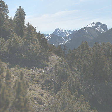 landscape3